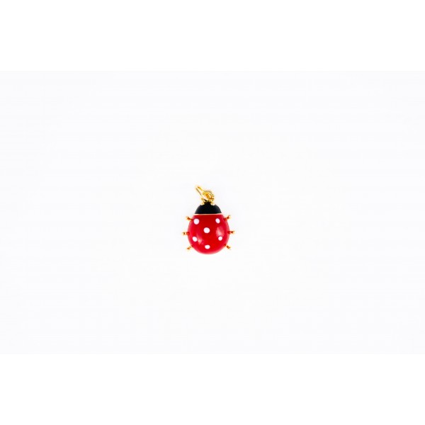 coccinelle