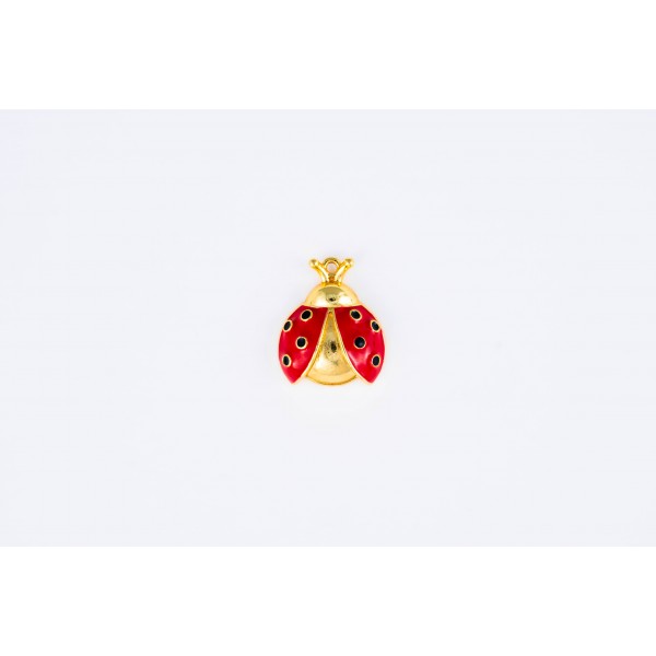 ladybug