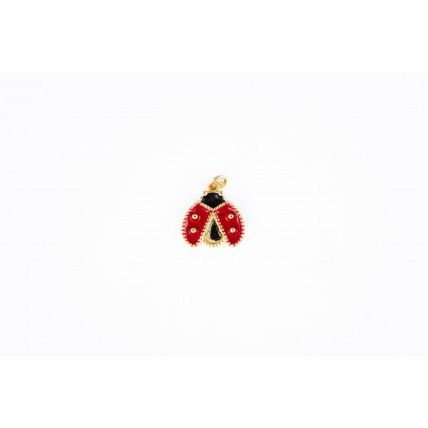 ladybug