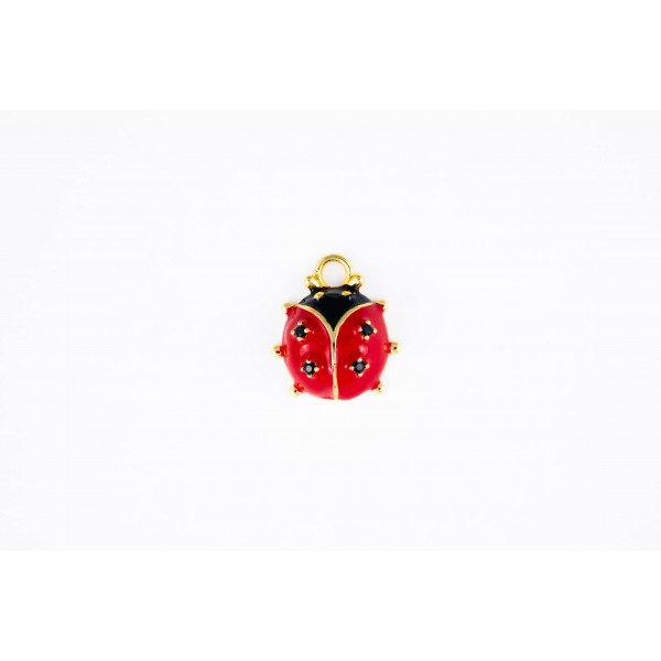 ladybug