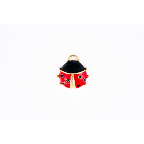 ladybug