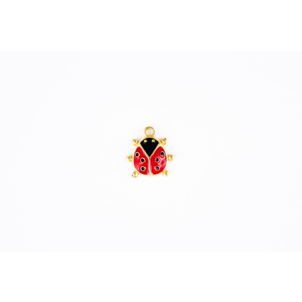 ladybug