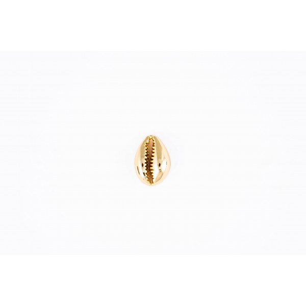 shellfish