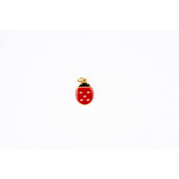 ladybug