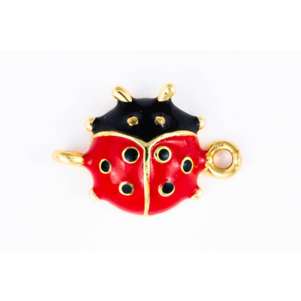 ladybug