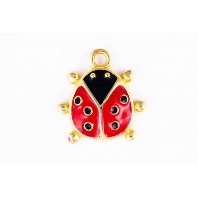 ladybug