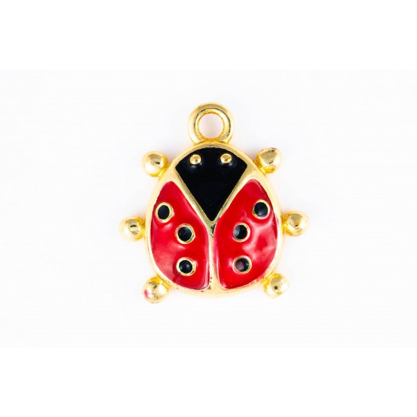 ladybug