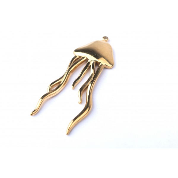 jellyfish