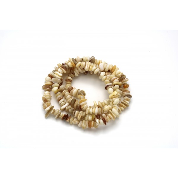shell