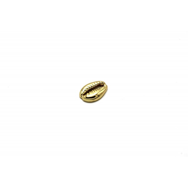 coquillage