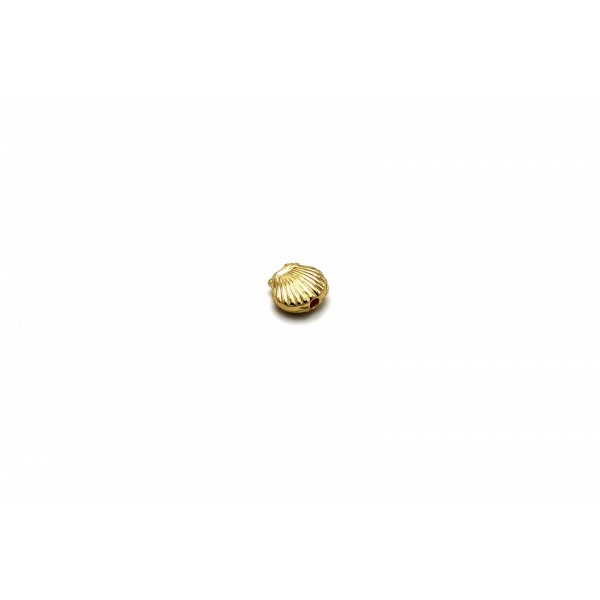 coquillage